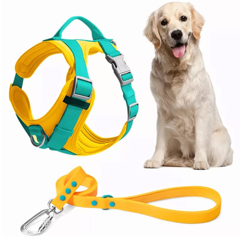Dog Accessories
